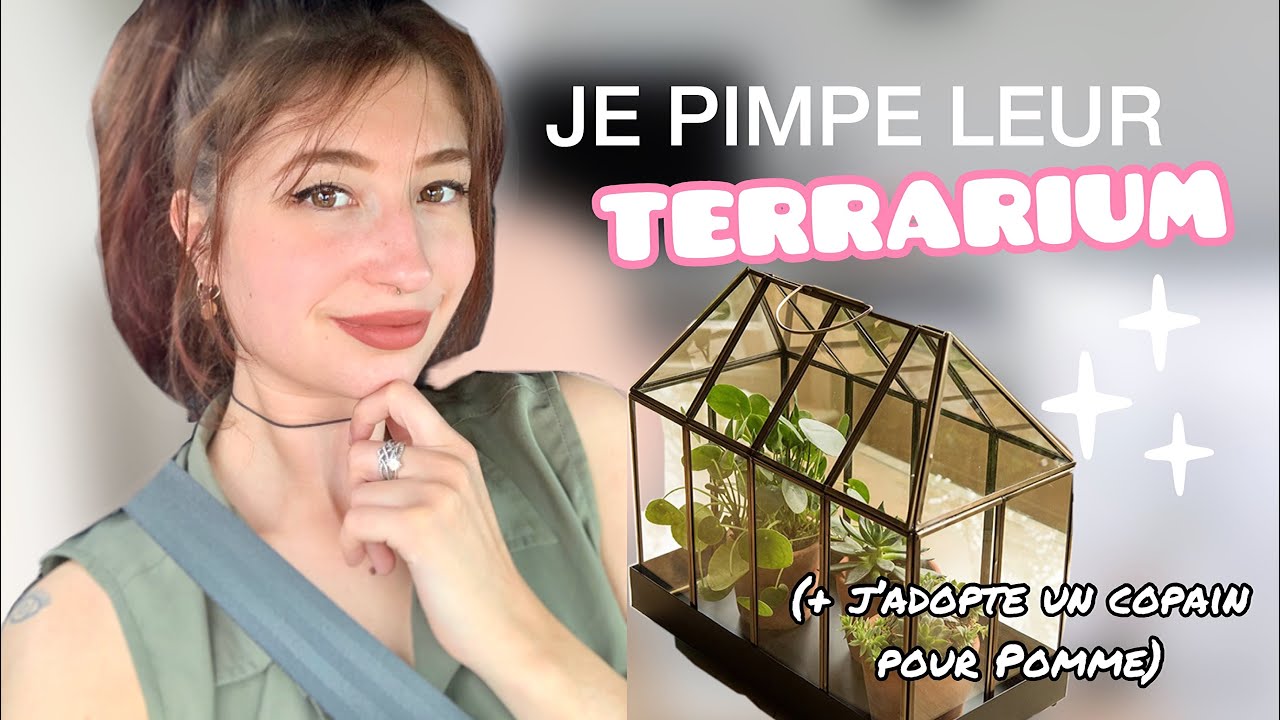 JE PIMPE LE TERRA DE MES ESCARGOTS GÉANTS (et j’adopte un copain pour Pomme) 🐌