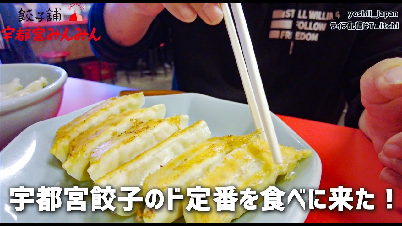宇都宮散歩！宇都宮餃子のド定番餃子はこれ！ | IRL A walk in Utsunomiya! This is the classic gyoza from Utsunomiya!