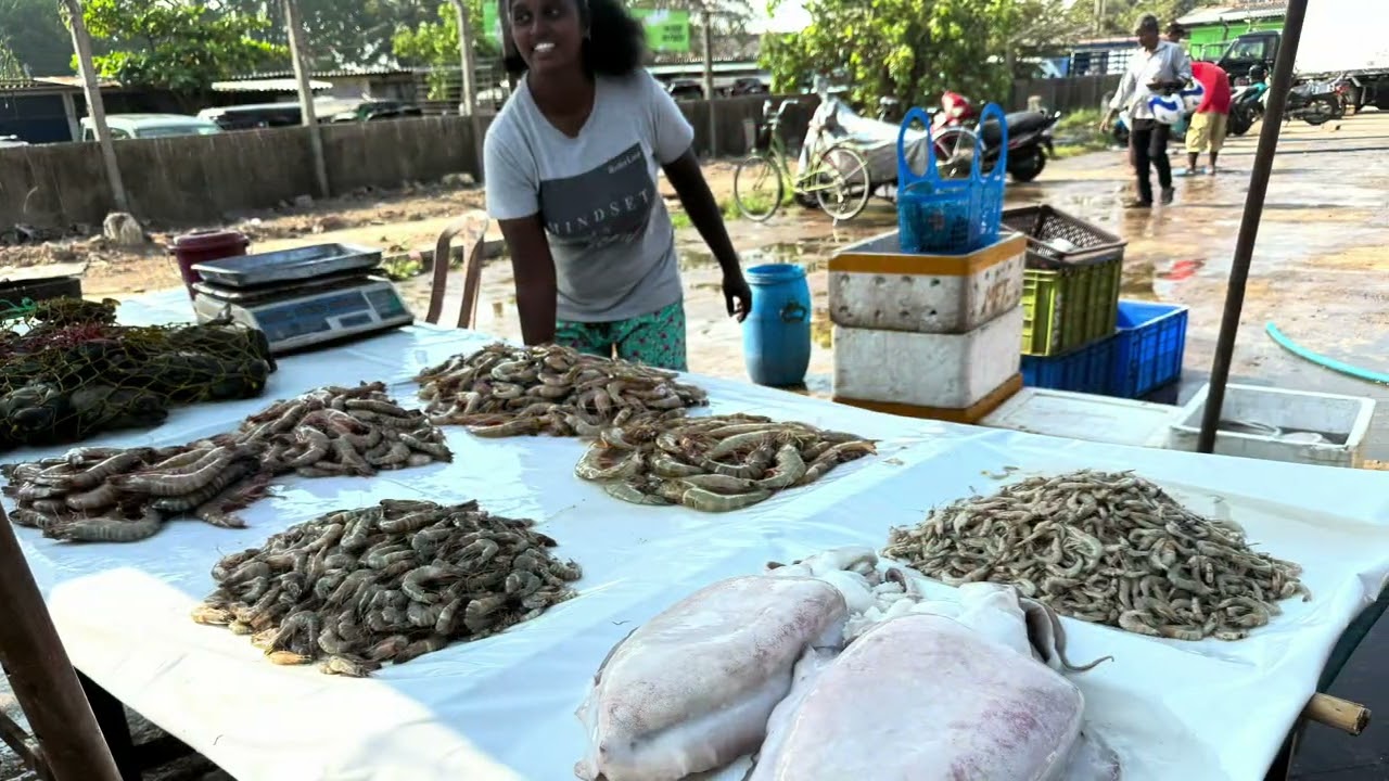 Day 3. Negombo Fish Market & Colombo