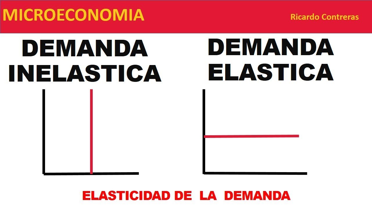 Elasticidad demanda: el&aacute;stica e inelastica