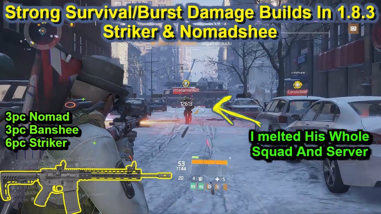 Strong survival Damage Builds(I Melted His Whole Squad With Striker And Nomadshee)|Division 1.8.3|