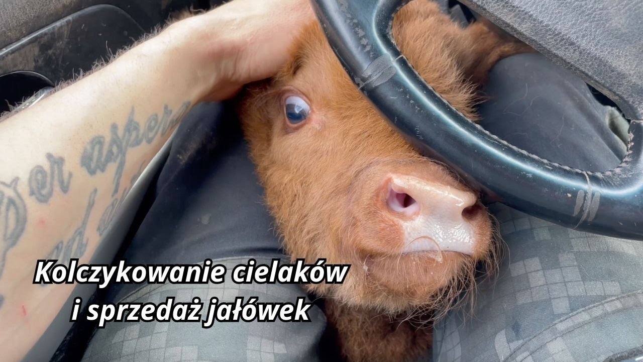 Vlog z farmy #40 Kwiecień 2023