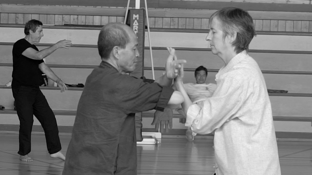 Tui Shou ( Technique des mains collantes )