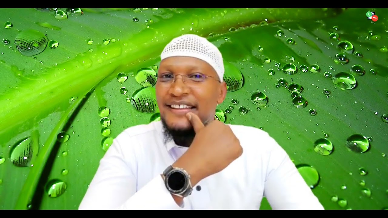 Jaarsi kiyya erga na hiike ji'a 7 geenye amma deebi'ee----Deebisaa☎️ ☎️