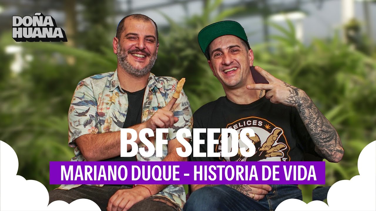 LA VIDA DE MARIANO DUQUE Y BSF SEEDS - AUTOMATICAS EN INDOOR? - ENTREVISTA