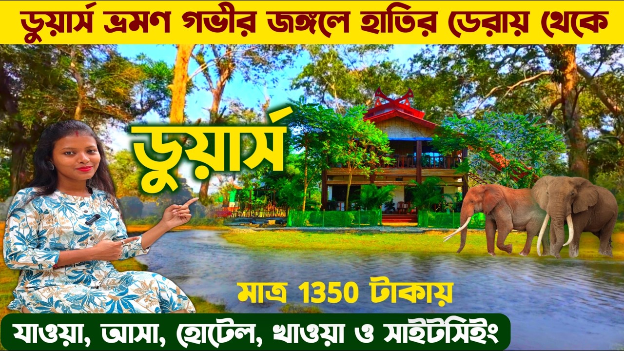 ডুয়ার্স ভ্রমন খরচ সহ এই মুহুর্তের সম্পূর্ণ তথ্য | Dooars Tour Budget | Dooars Tour 2 Night 3 Days