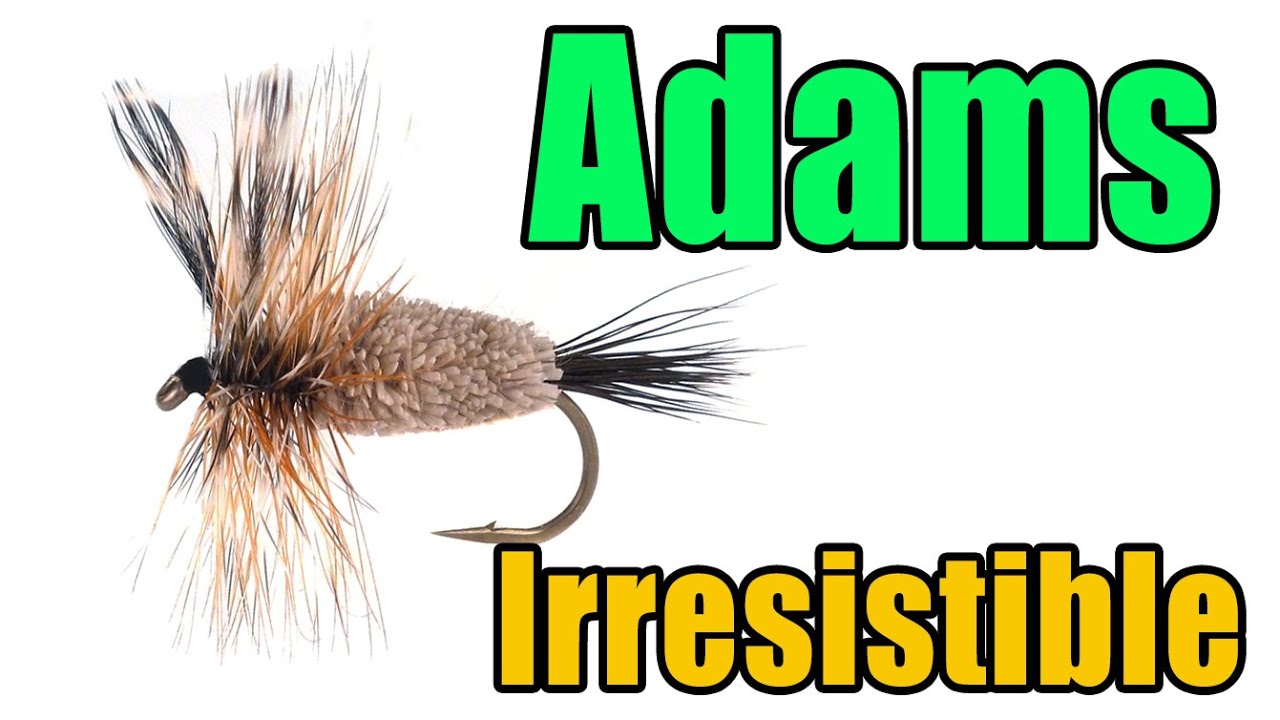 Adams Irresistible - Best Classic Dry Fly - Leonard Halladay Fly Pattern