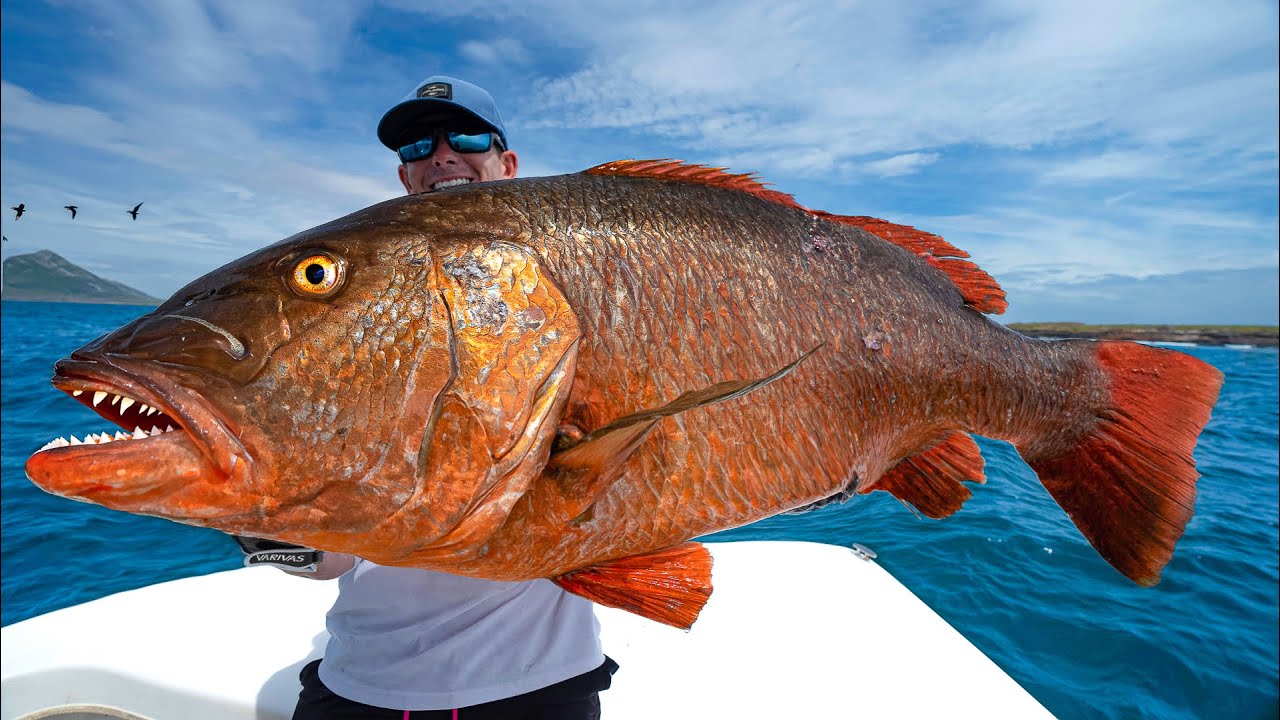 6 Days at SEA for Once in Lifetime Catch! GIANT Cubera Snapper (Catch Clean Cook)