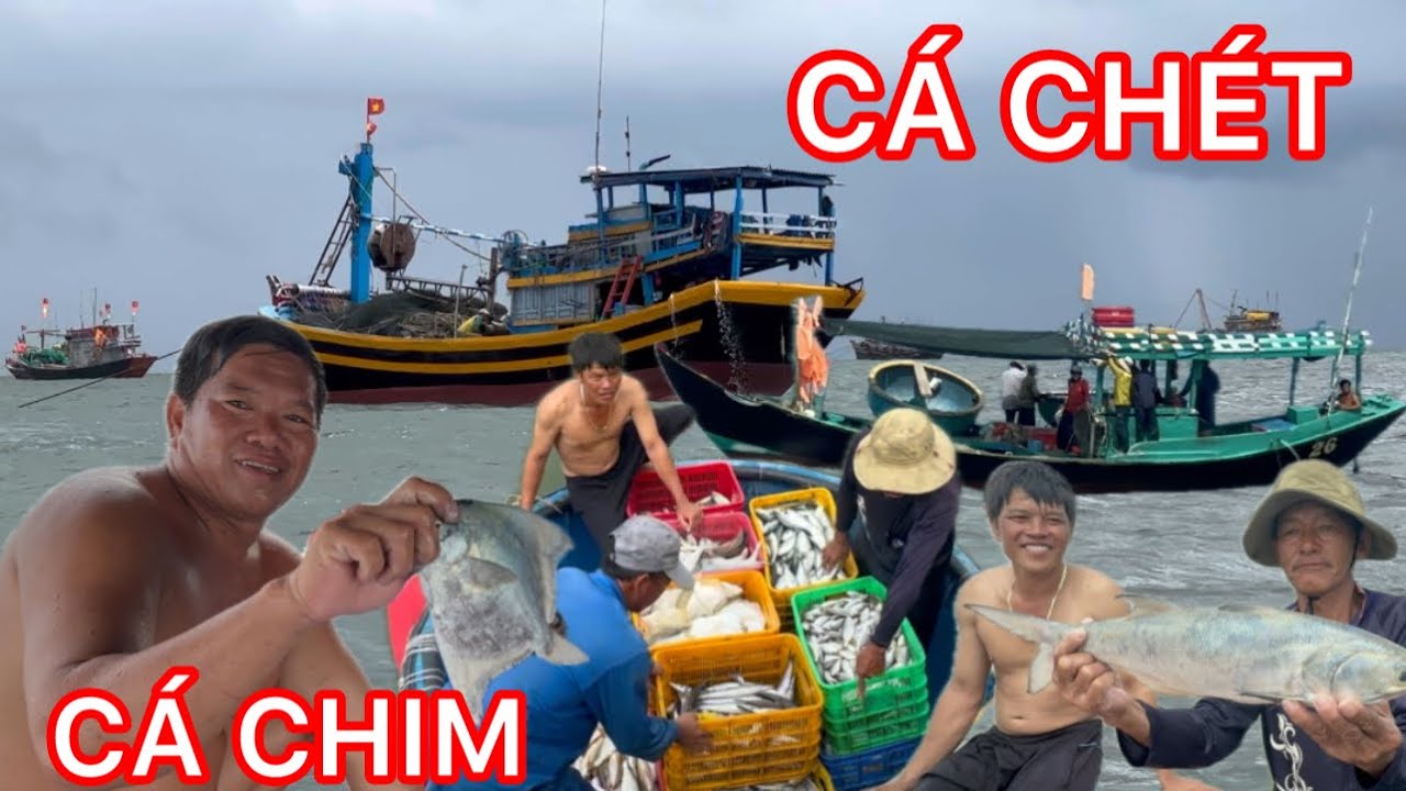 NGHỀ BIỂN ĐỘC LẠ ,LƯỚI NẬU ,LÁI LẶN NGHE  CÁ KÊU TRÚNG MÁNH