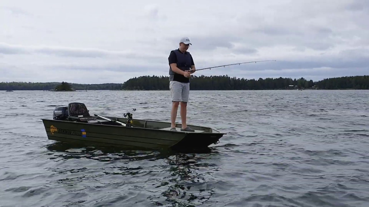 Oskwig Perch fiske fr&aring;n kastd&auml;ck