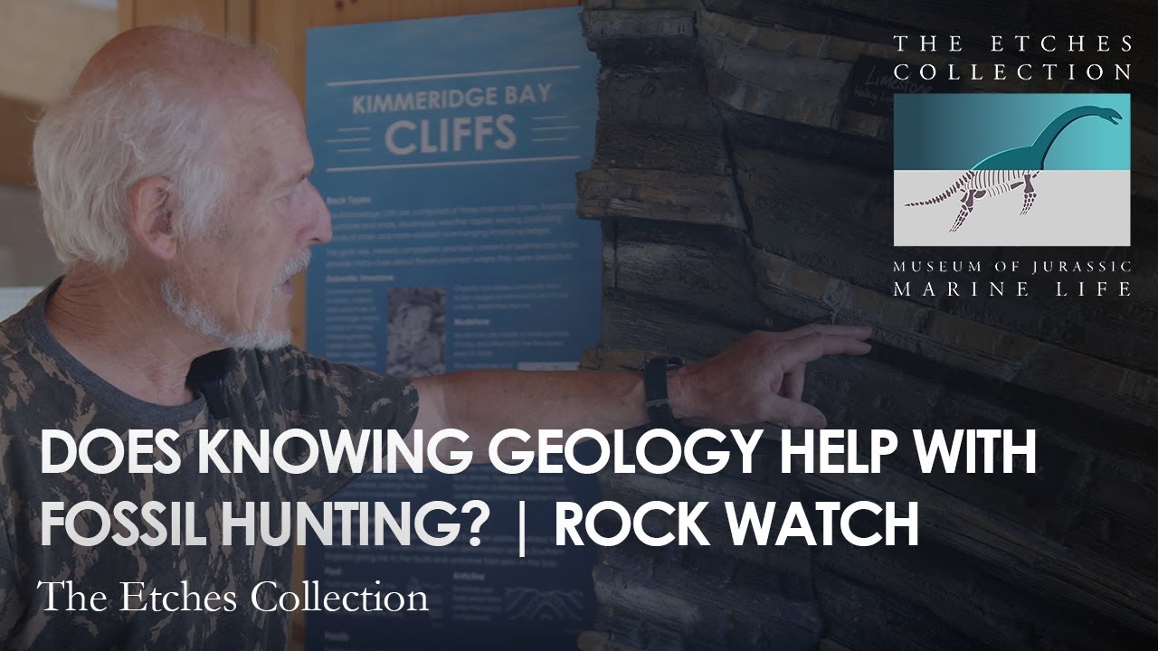DOES KNOWING GEOLOGY HELP WITH FOSSIL HUNTING? | ROCK WATCH
