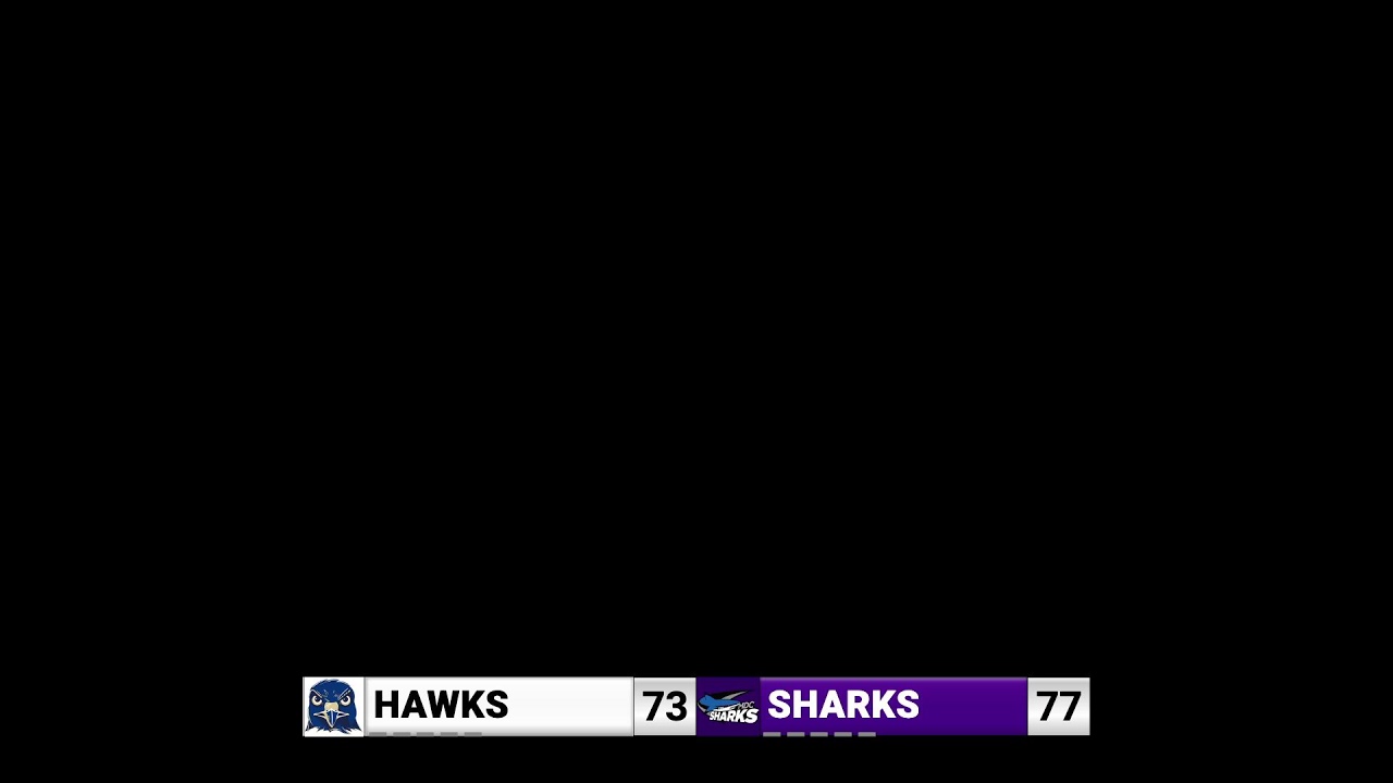Hawk TV