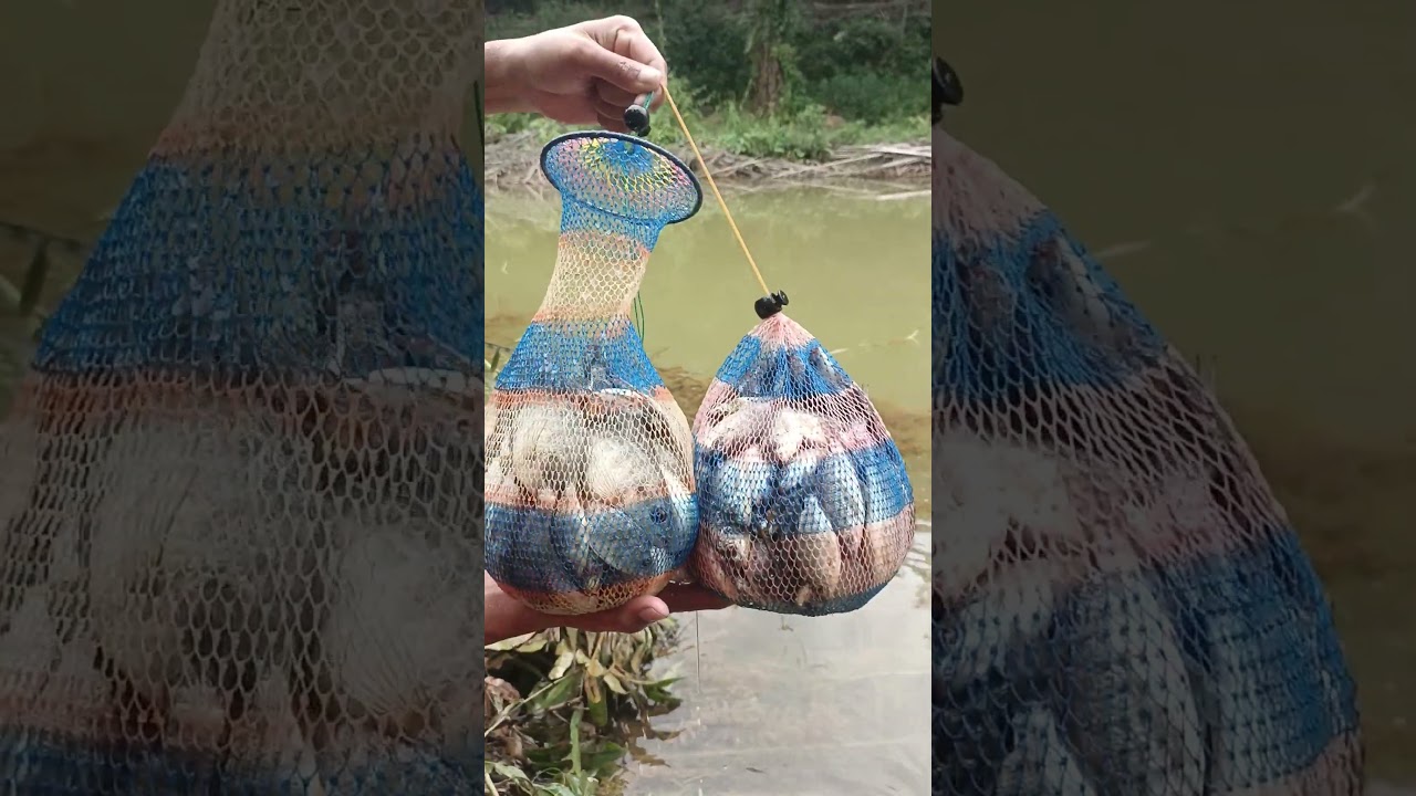 Hasil Akhir mancing full ikan nila hampir 3kg  