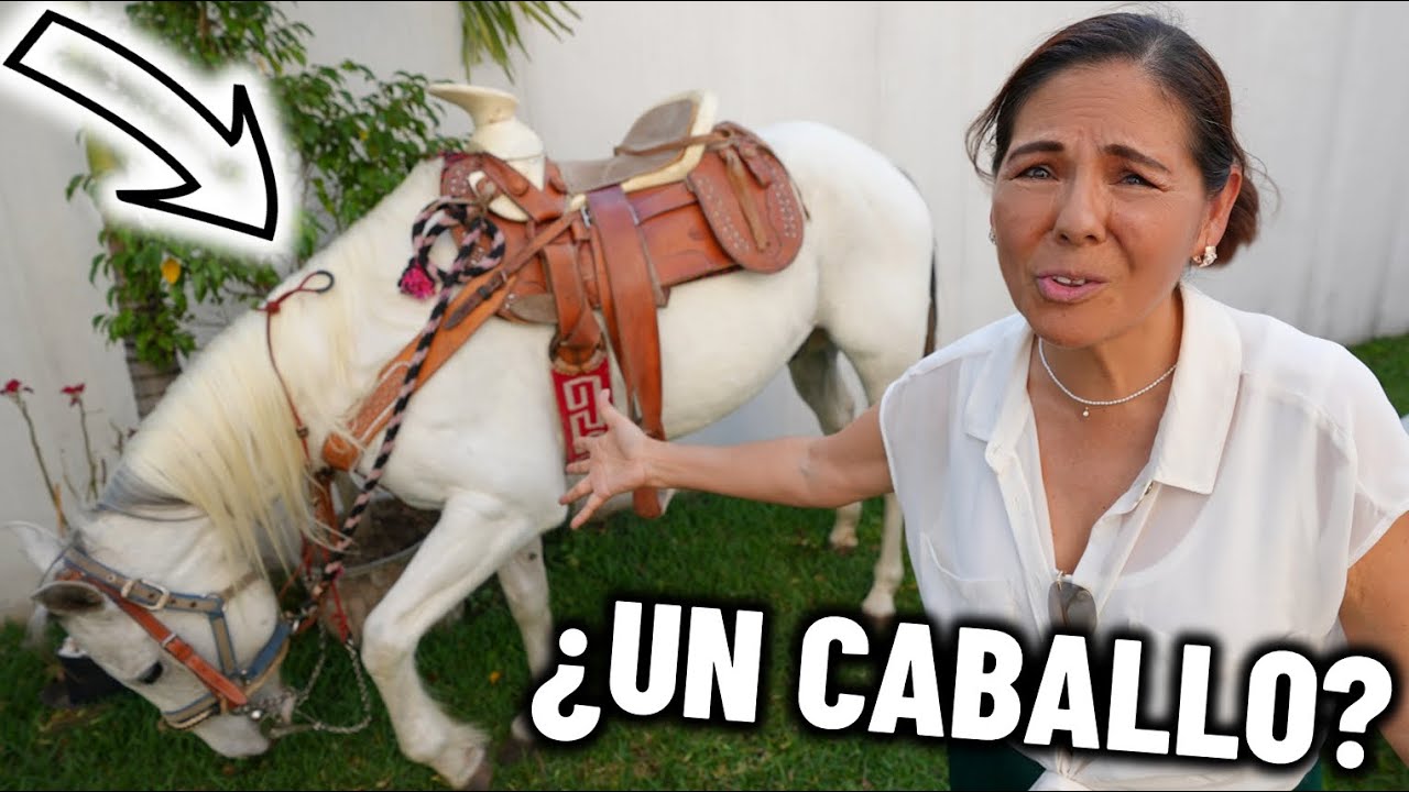 ¡COMPRÉ UN CABALLO! *BROMA A MI MAMÁ* - [ANTRAX] ☣