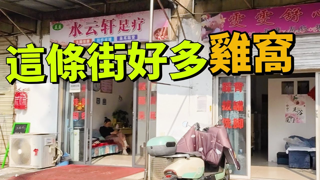 這條街好多雞窩，土雞好漂亮#旅行#vlog 