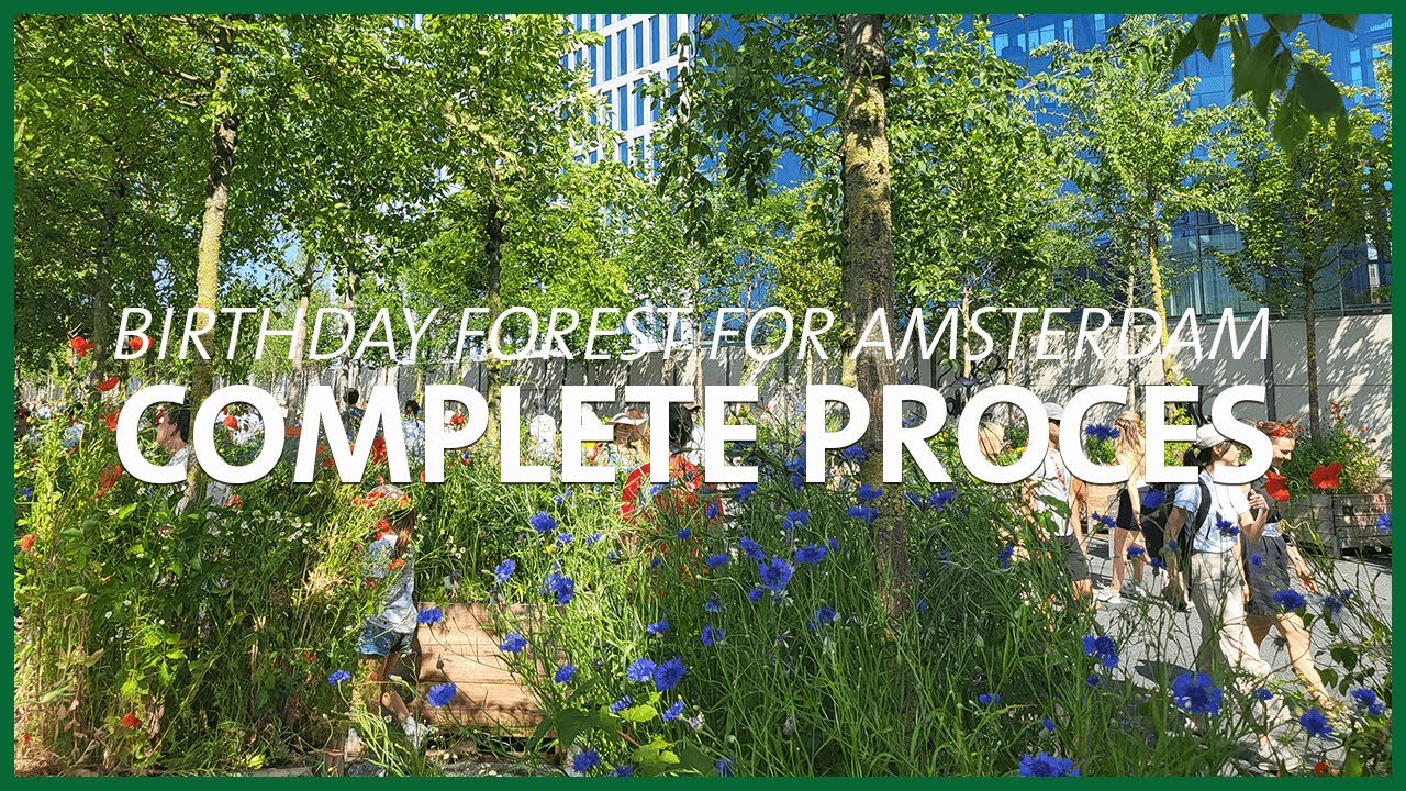 Amsterdam 750 - Complete proces