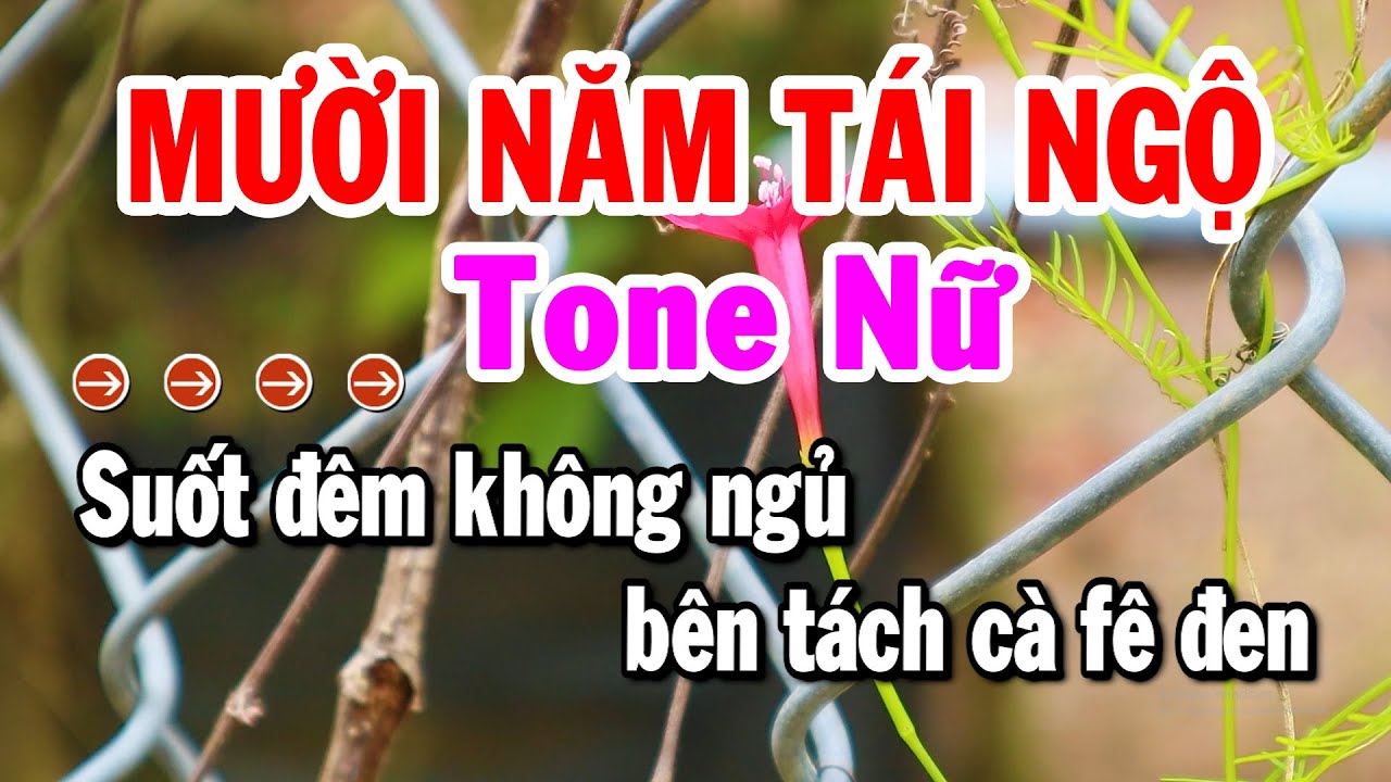 Karaoke Mười Năm Tái Ngộ Tone Nữ Nhạc Sống Rumba Dễ Hát Nhất | Karaoke Tuyển Chọn