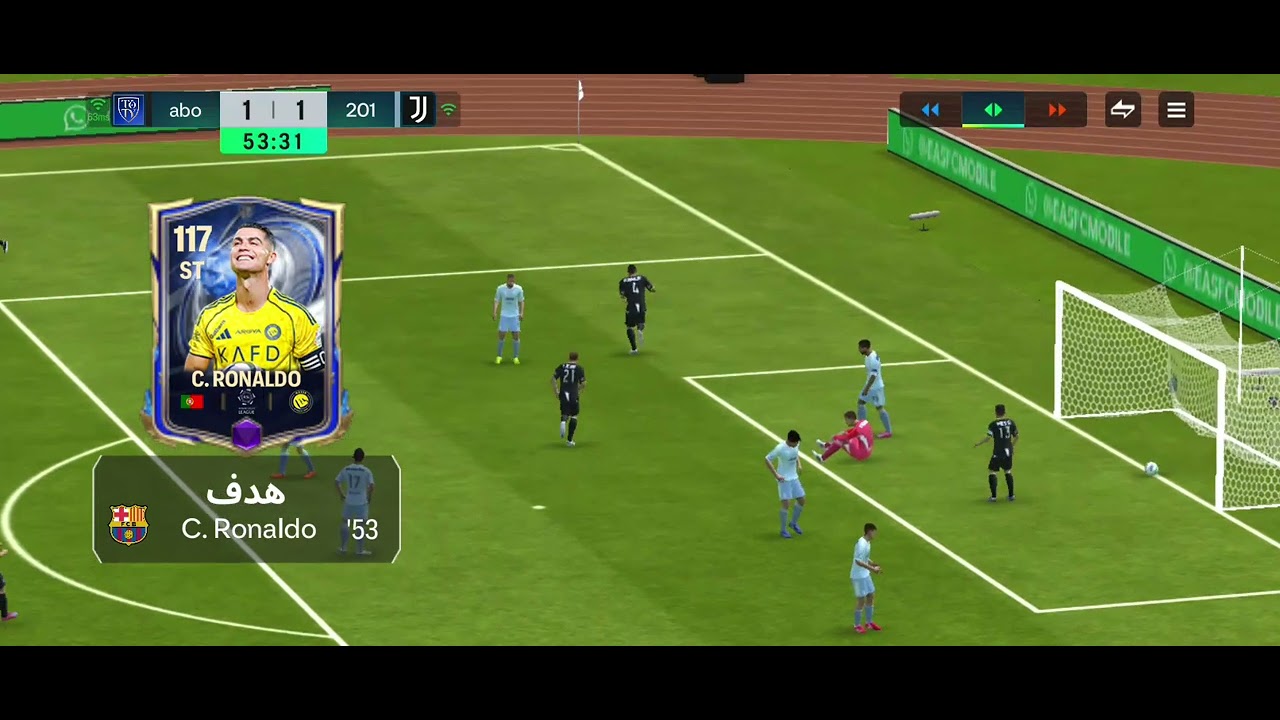 14 فيفري 2026