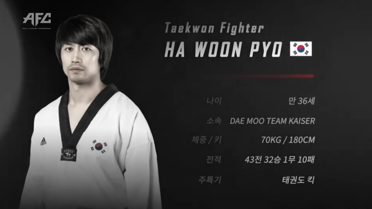 발차기로 격투기 선수를 박살낸 태권도 선수 ㄷㄷ #하운표