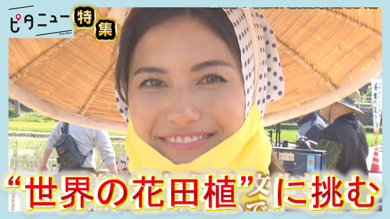 【密着】世界を旅した24歳「壬生の花田植」に挑戦｜ピタニュー特集