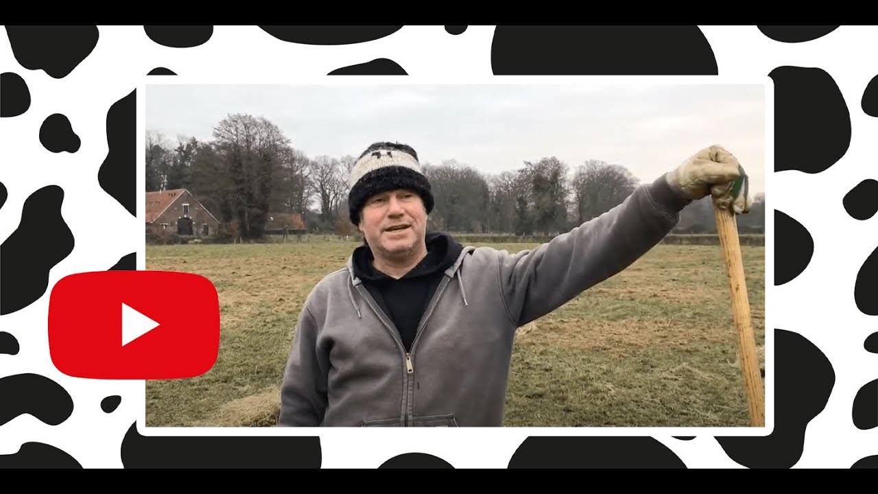 Wat gebeurt er met het gedroogde gras voor koeien? | Koeien van Jelle 5/18