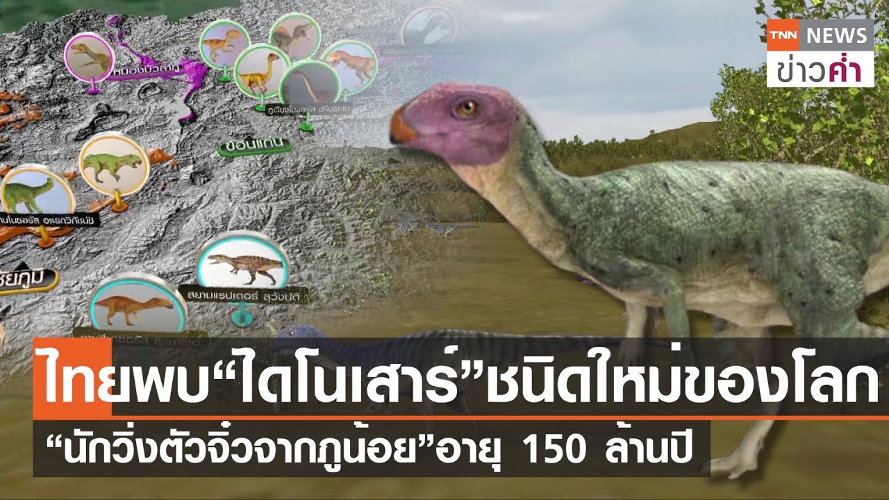 ไทยพบ“ไดโนเสาร์”ชนิดใหม่ของโลก “นักวิ่งตัวจิ๋วจากภูน้อย” อายุ 150 ล้านปี | TNN ข่าวค่ำ | 26 ก.ค. 66