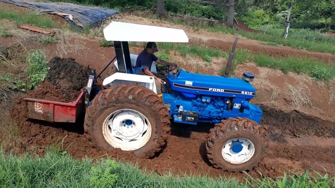 Ford 6610  limpando silo 