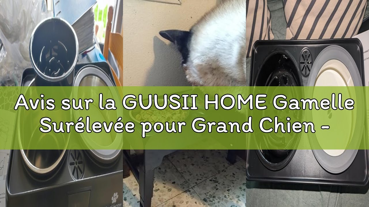 Avis sur la GUUSII HOME Gamelle Surélevée pour Grand Chien - Porte Bol Haute INOX - Bar à Gros Chien