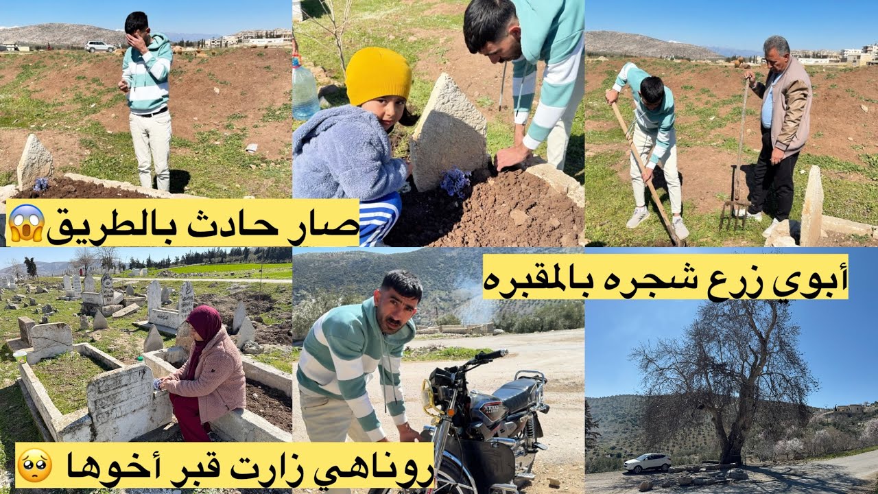 روناهي زارت قبر أخوها // أبوي زرع شجره // رحنا على اكبر شجره معمره براجو// 
