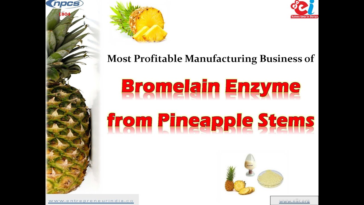 Most Profitable Manufacturing Business of Bromelain Enzyme from Pineapple Stems.