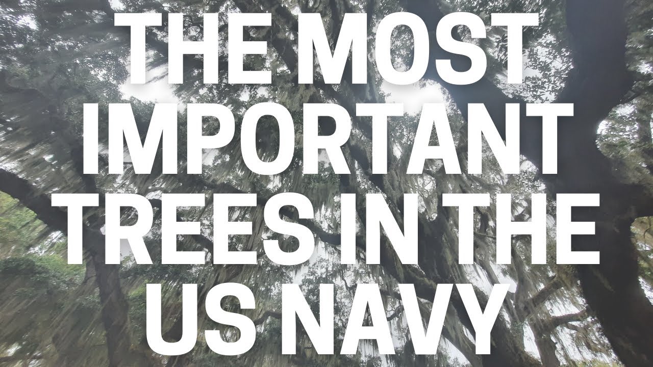 The Most Important Trees in  US Navy History