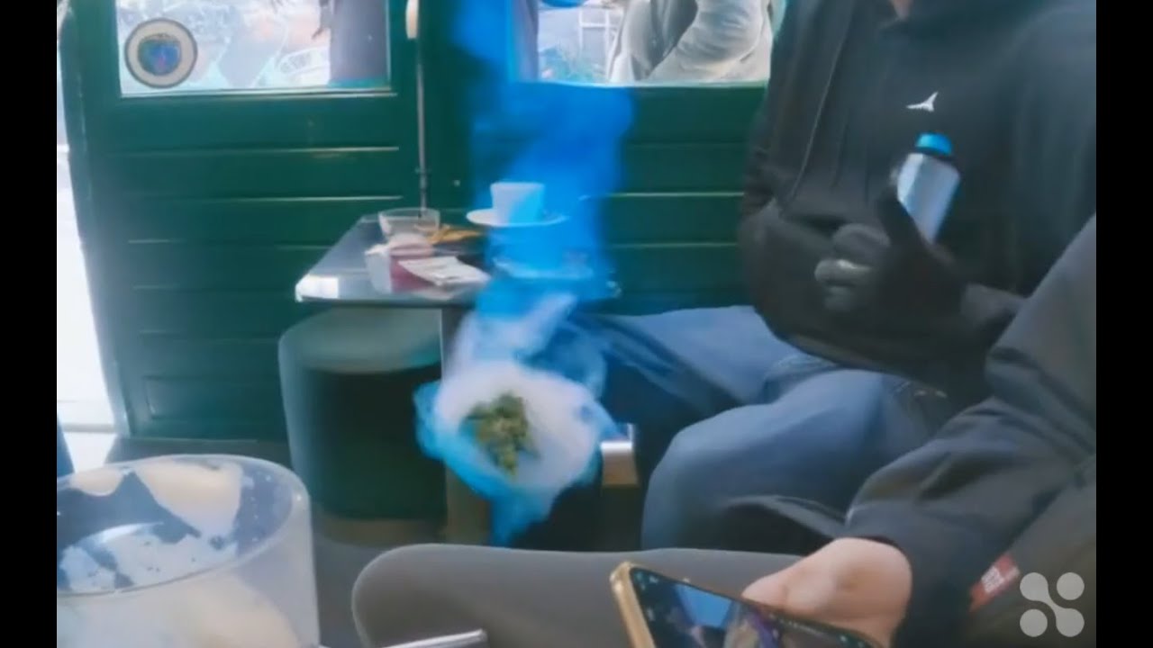 Bong Rip @ The Terps Army Coffee Shop, Amsterdam @Terpsarmy