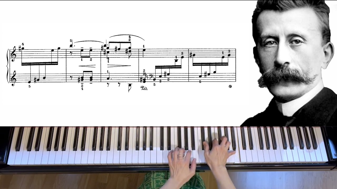 모스콥스키 op.77 no.1 비애 Moszkowski  Tristesse