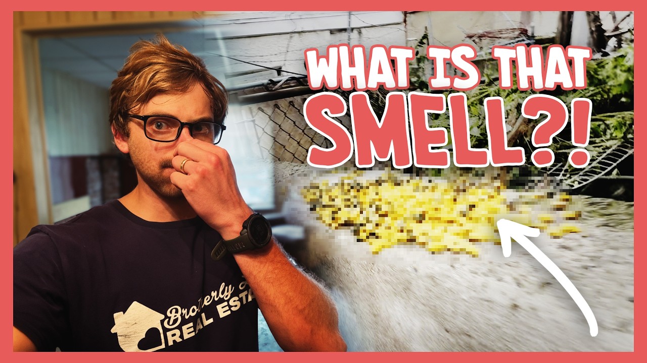 Cat Smell + Squatters = The Nastiest House We’ve Ever Bought