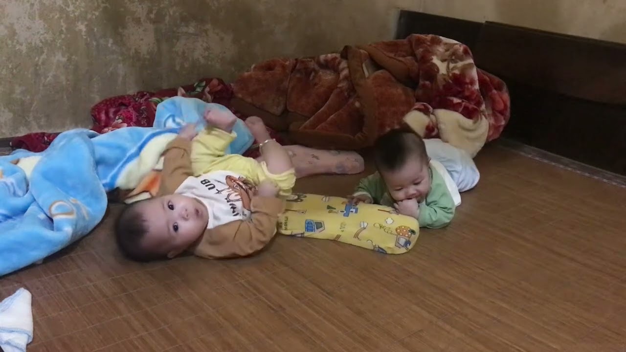 ngày 7 tháng 12, 2024