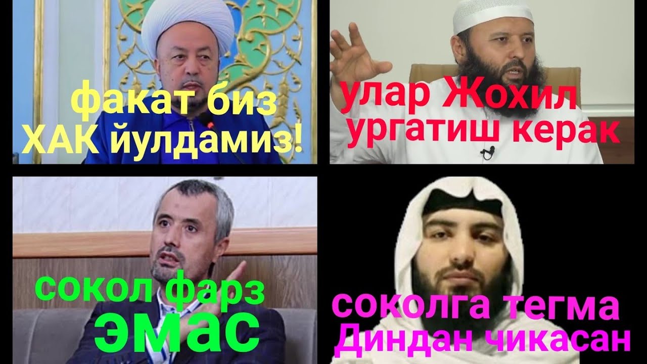 СОКОЛ ХАКИДА СУРАГАНЛАР УЧУН МАХСУС