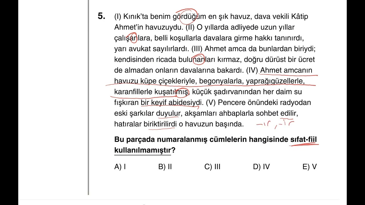 Dil Bilgisi Denemeleri, Deneme 47, Genel