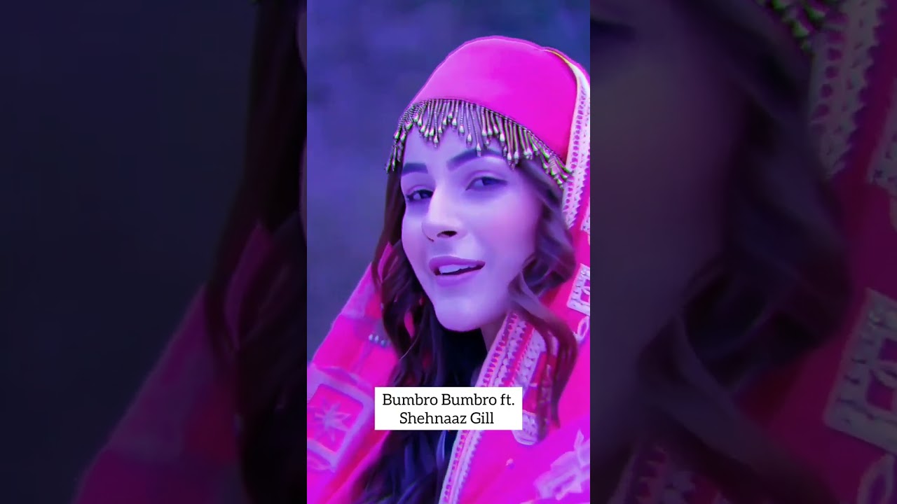 Bumbro Bumbro syaam rang bumro ft  Shehnaaz Gill status #shorts #shehnaazgill #bumro #kashmir #dance