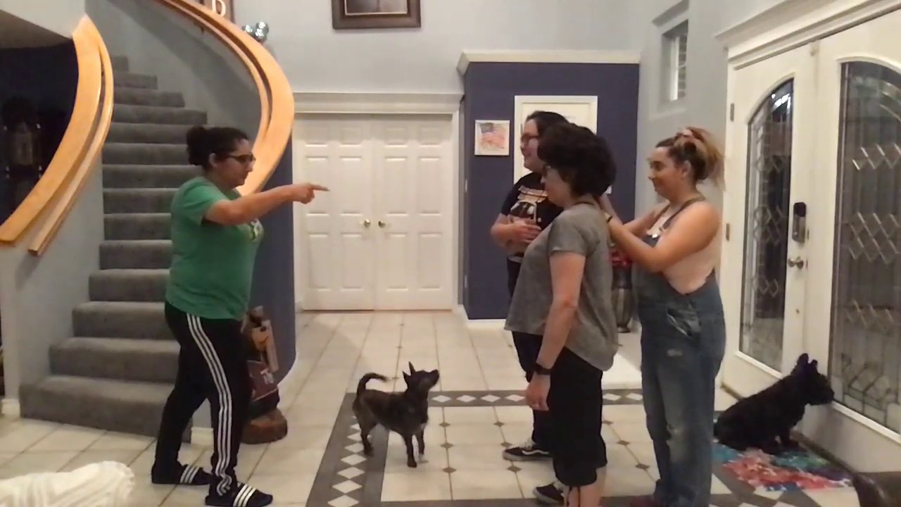 Family Sculpting Activity