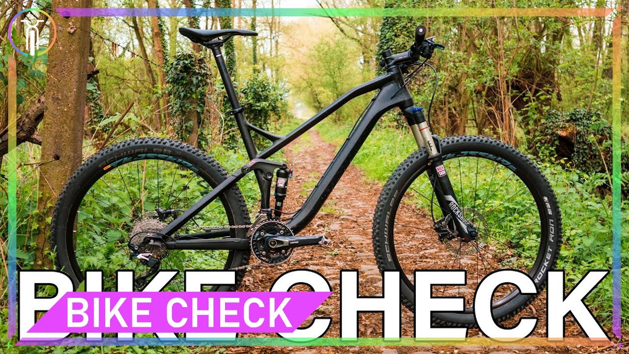Canyon Nerve / Neuron Bike Check