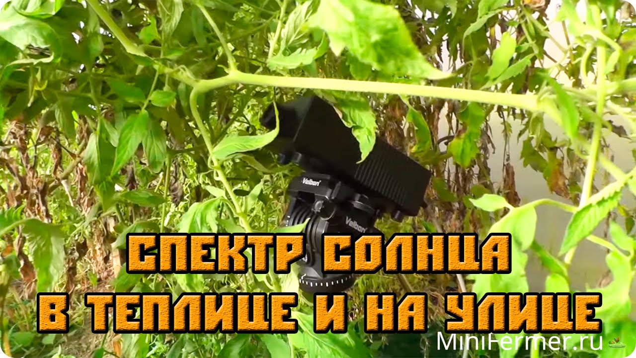 Спектр солнечного света. Замеры на солнце и в теплице