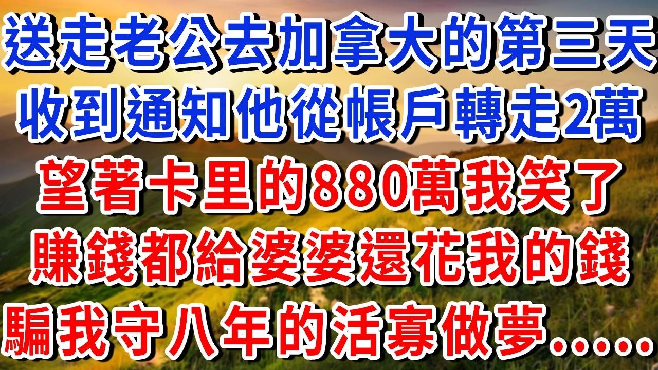 送走老公去加拿大的第三天，我收到銀行簡訊他從共同帳戶轉走2萬塊，備註寫著：「應急用」我盯著那880萬的餘額笑了，立刻将他卡里全部余额清空，想騙我守八年活寡？#書婷說故事#為人處世#生活經驗#情感故事