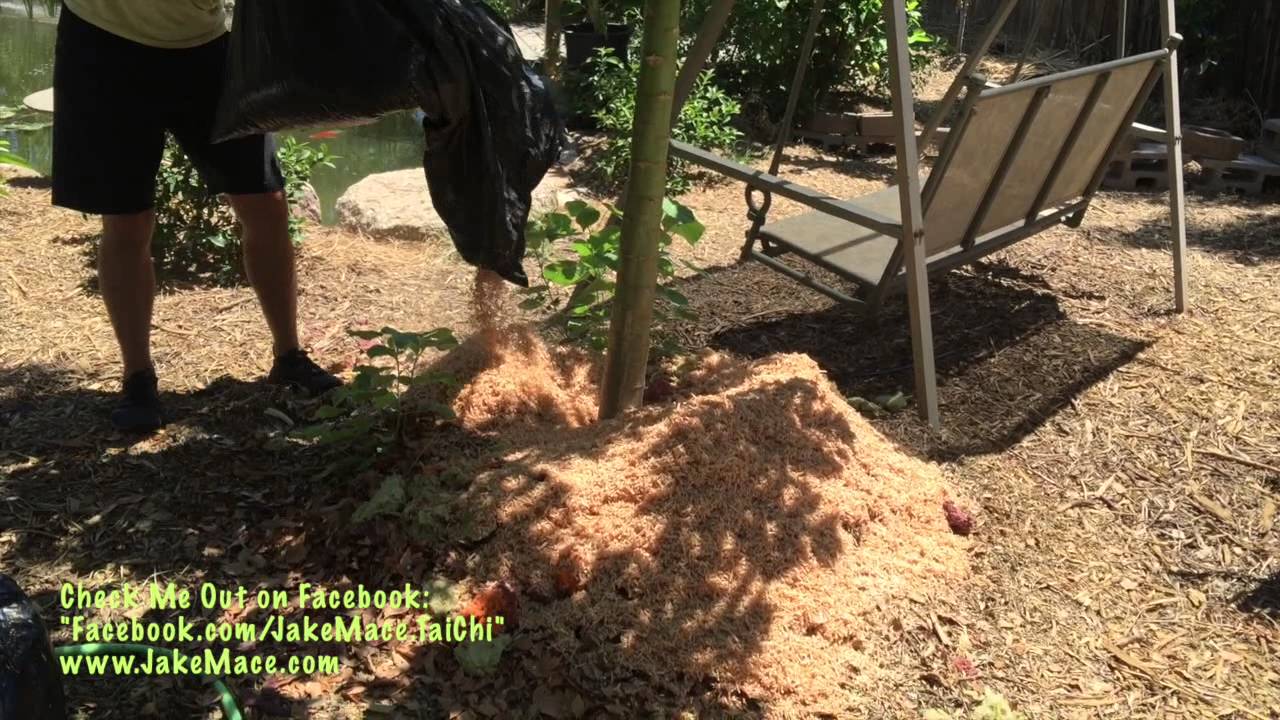 Crazy Blonde Guy Uses TRASH to Grow an Amazing GARDEN!