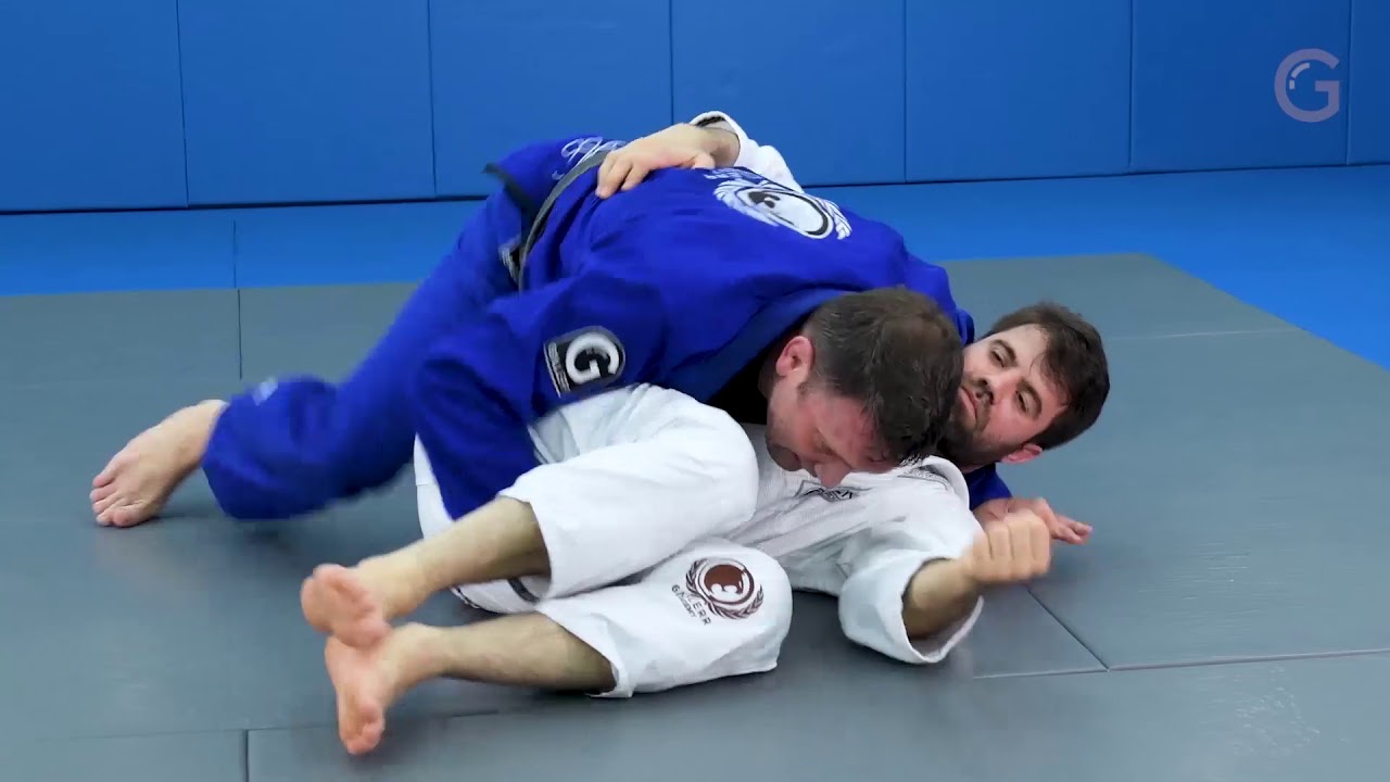 An antidote against the double-underhook butterfly guard - Shawn Williams