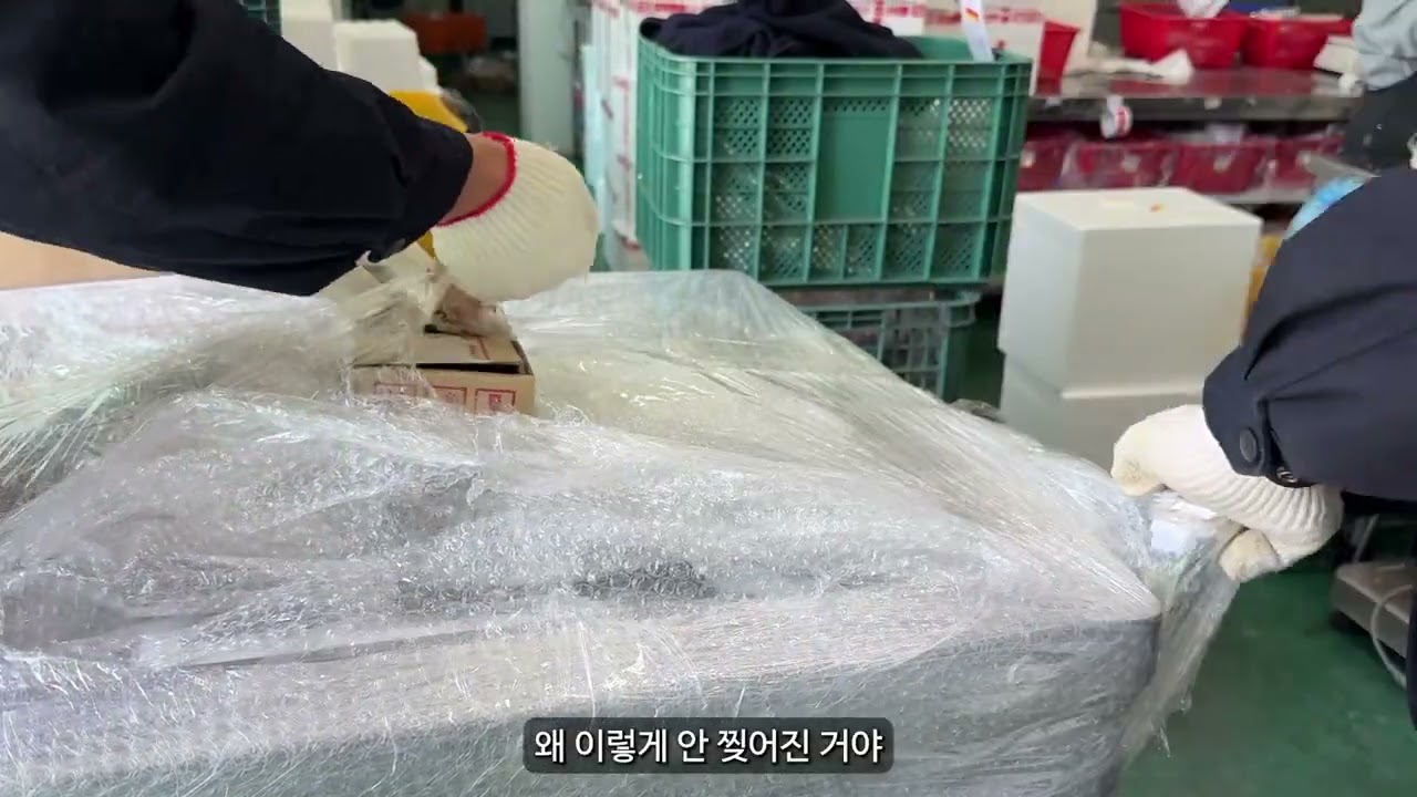 펫푸드 라인 민찌기 설치기 | 점착 원물도 균일 분쇄, 생산성 업그레이드