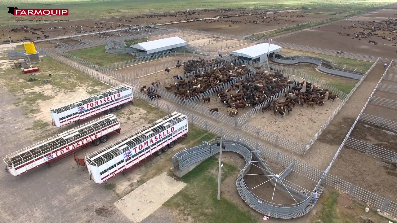 Instalación Farmquip para Feed lot