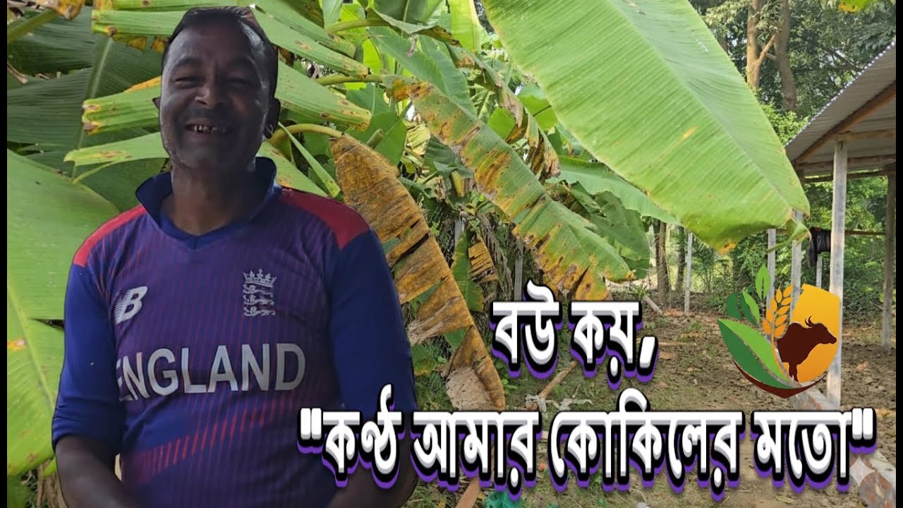 পল্লীএগ্রোবিডি ফার্মের উন্নয়ন কাজ | গরুর ফার্ম, কৃষি ও পল্লী খামারের নতুন আপডেট - PalliAgroBD
