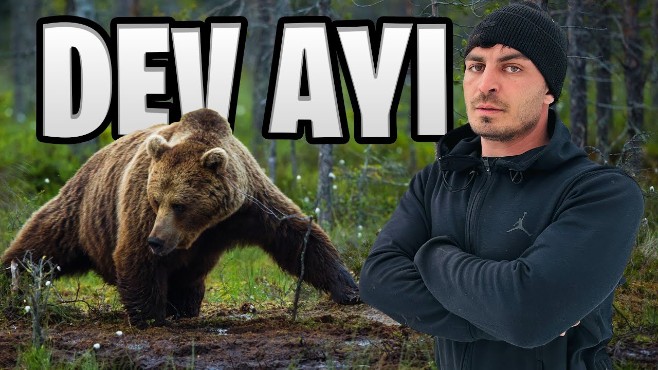 AYILARLA DOLU ORMANDA HAYATTA KALMAK!!