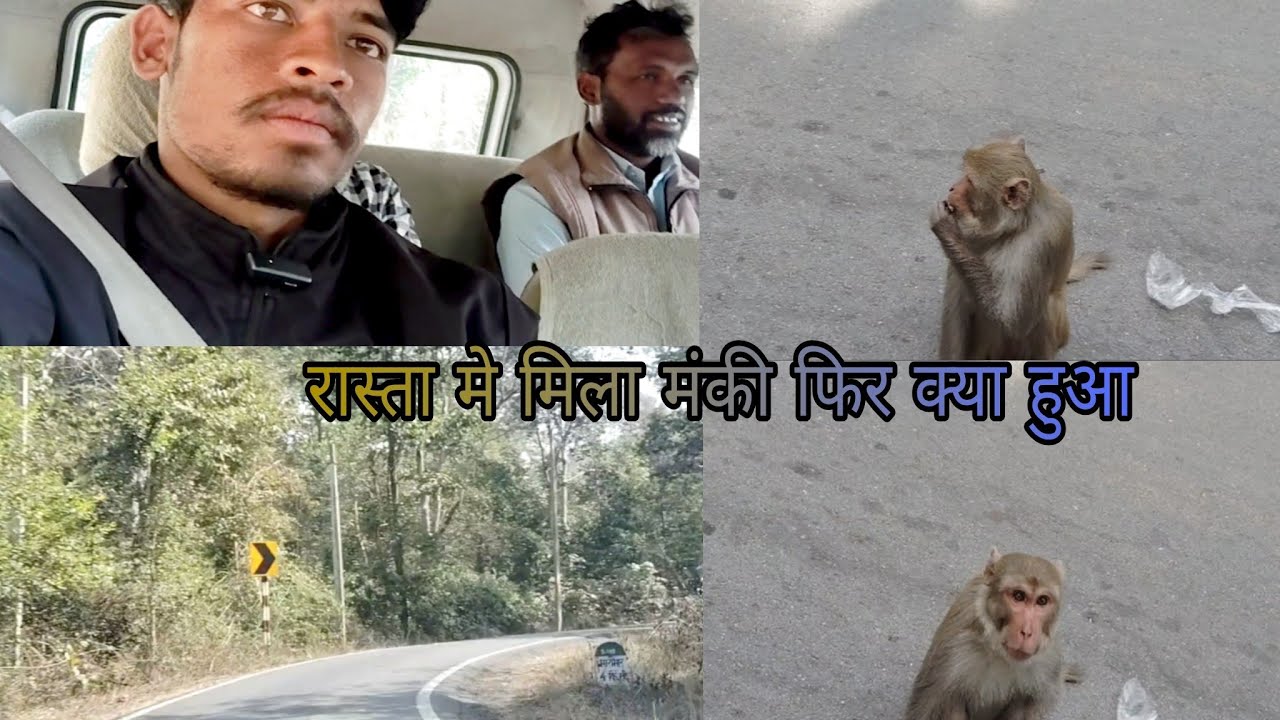 रास्ता में मिला मंकी फिर क्या हुआ | travel vlog daily vlog | vlogger life hindi vlog