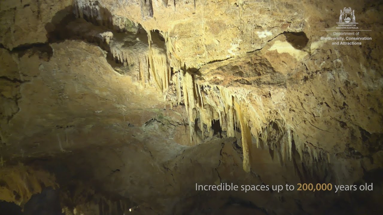 Yanchep caving experience